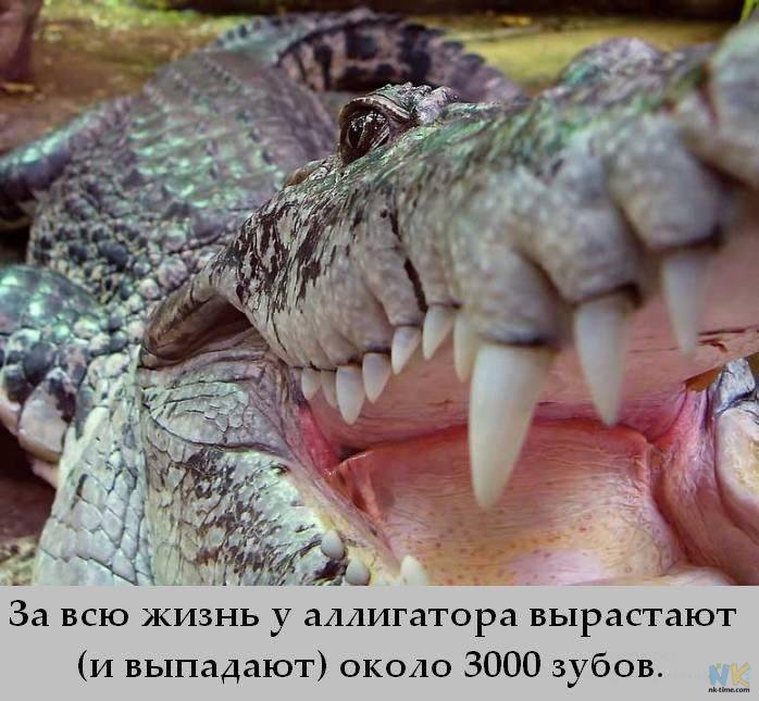 изображения