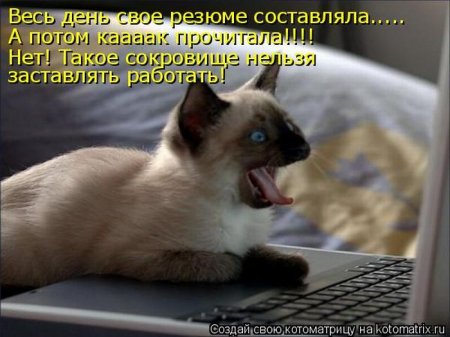 изображения